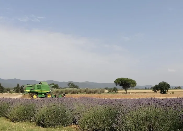 Agriturismo Susanna e Atria